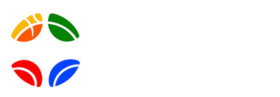 新发展体育播网